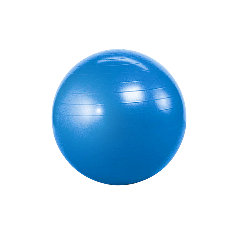 Balón Fisioterapia 55cms Azul.